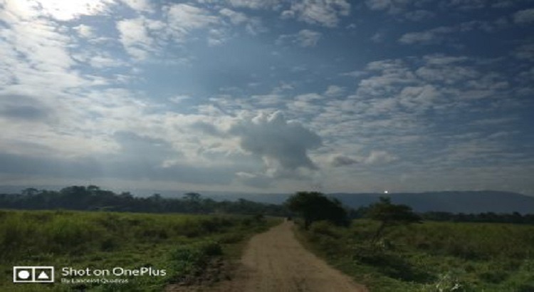 Kaziranga National Park