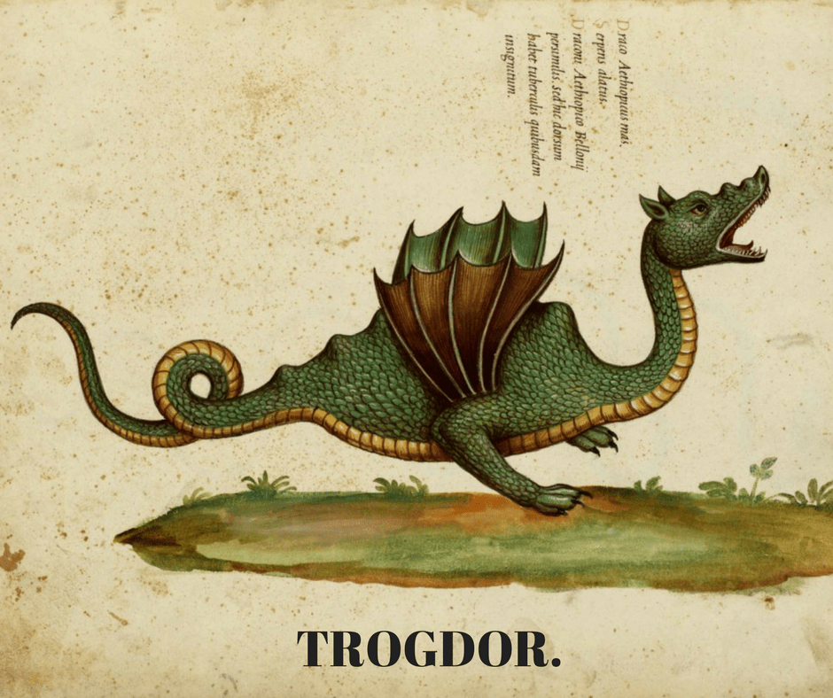 dragon man TROGDOR the burninator