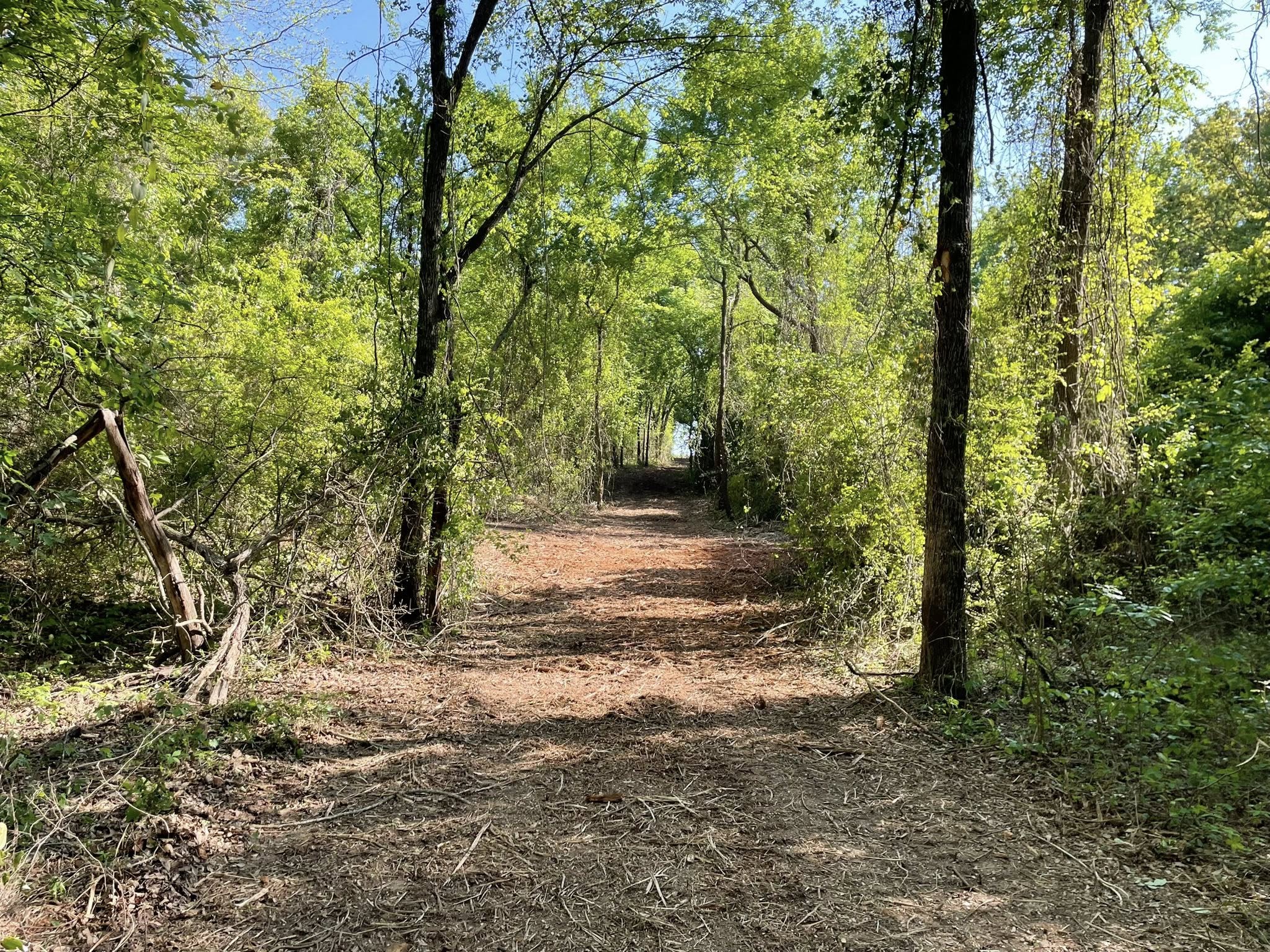 cleared path 2