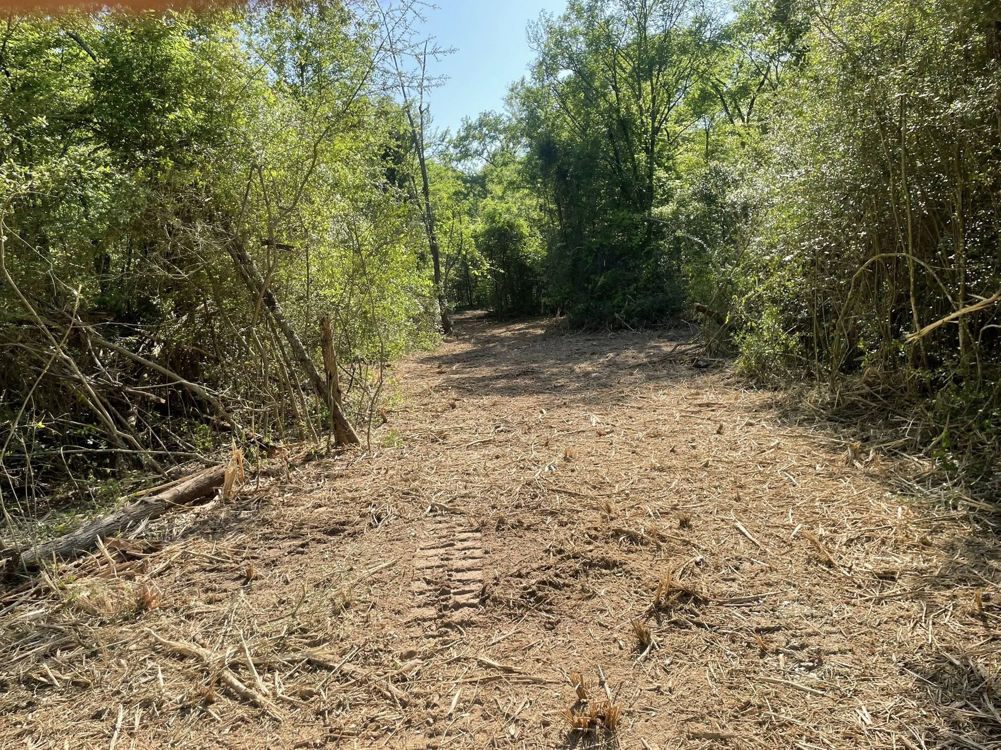 cleared path 3