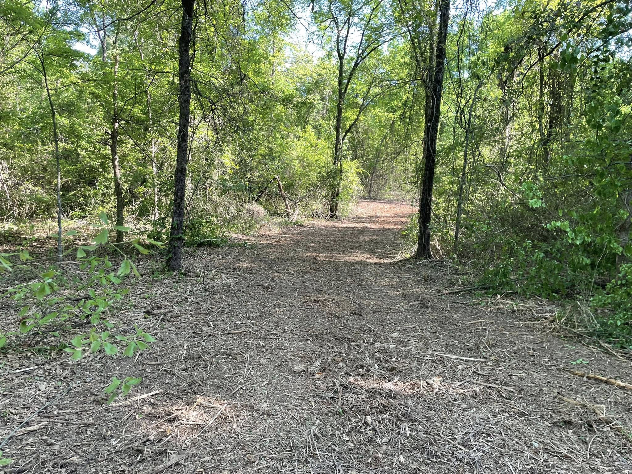 cleared path