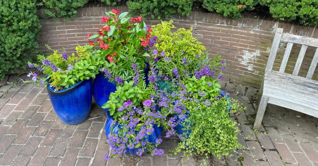 small front garden ideas no grass