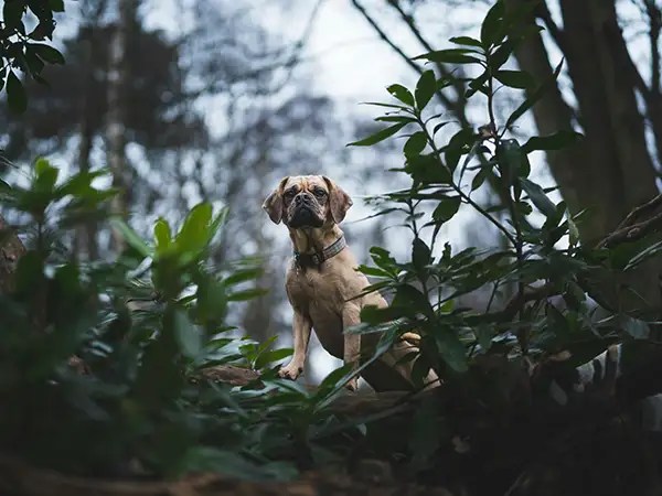 tom-hills-unsplash