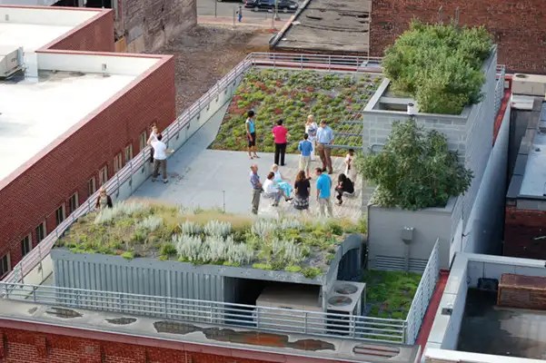 Washington DC's Green Infrastructure