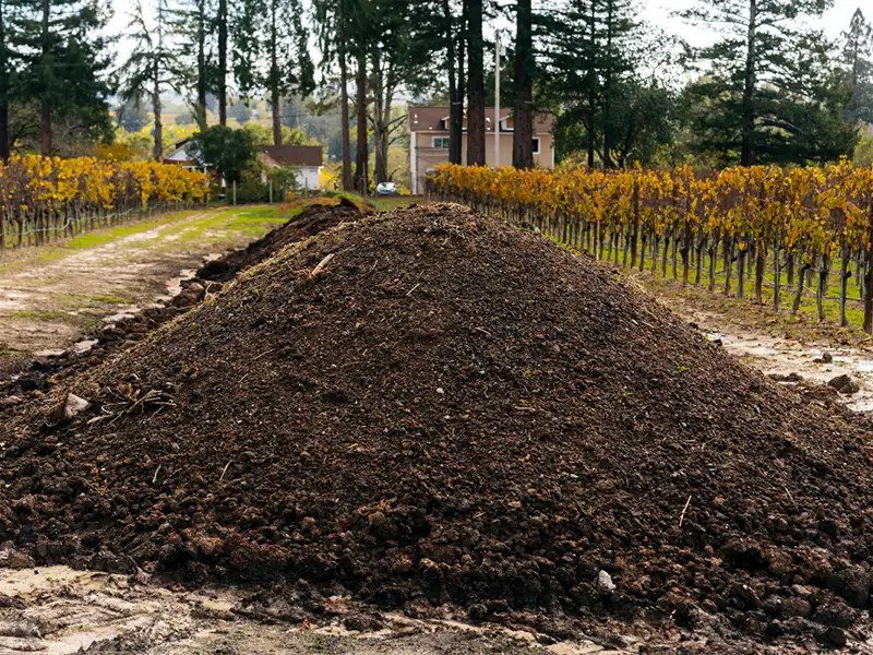 windrow of compost