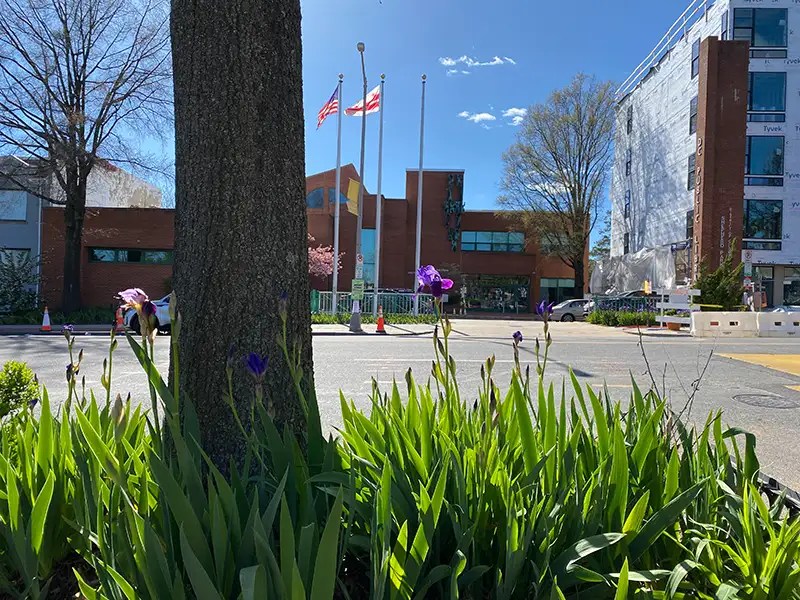 low-impact development