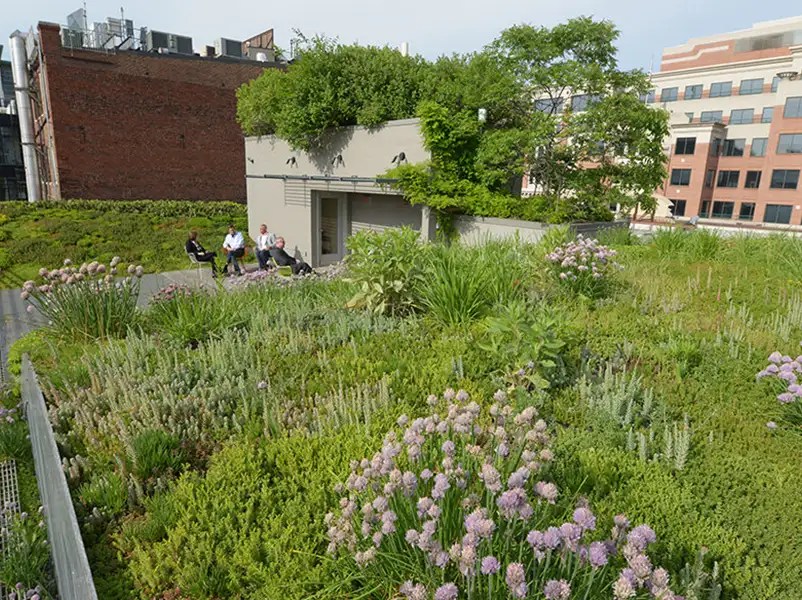 Urban Heat Island Solutions