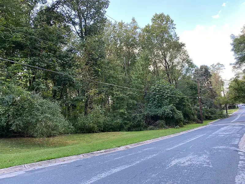 Planted Row