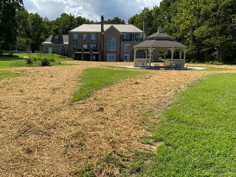 Regrading Backyard