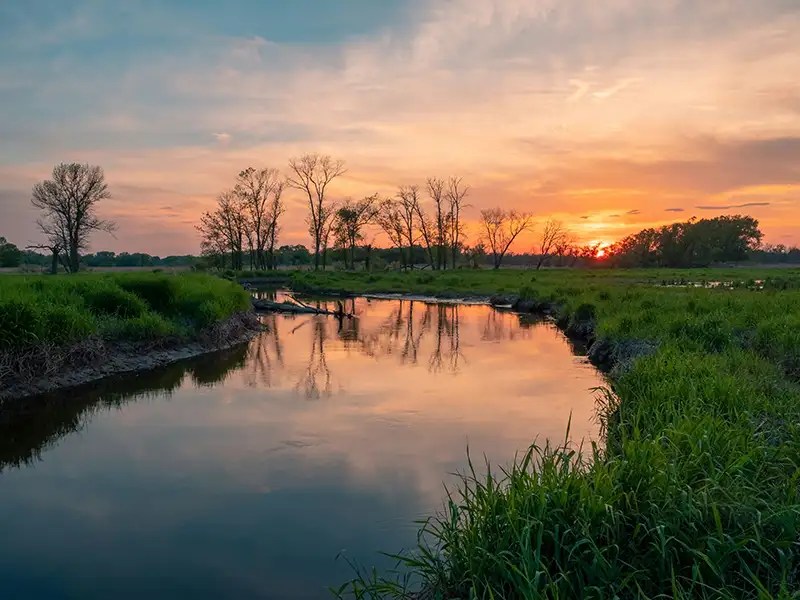 wetland restoration