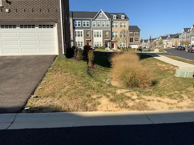 compacted soil