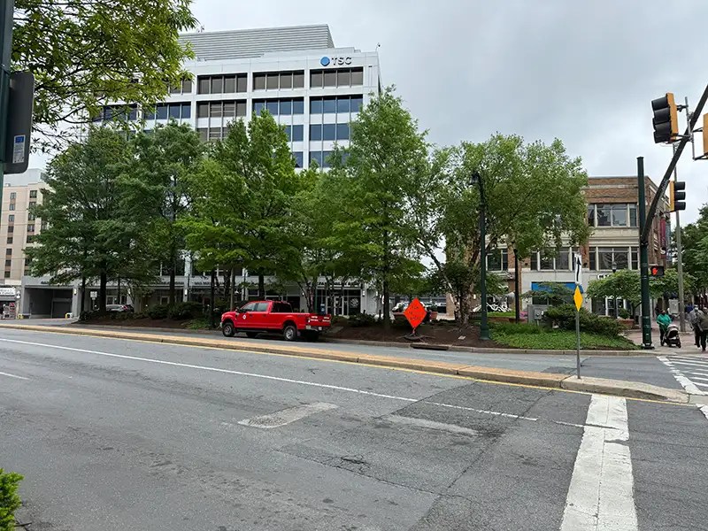 Silver spring mini forest