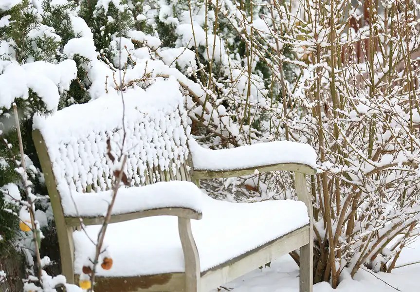 snow on bench