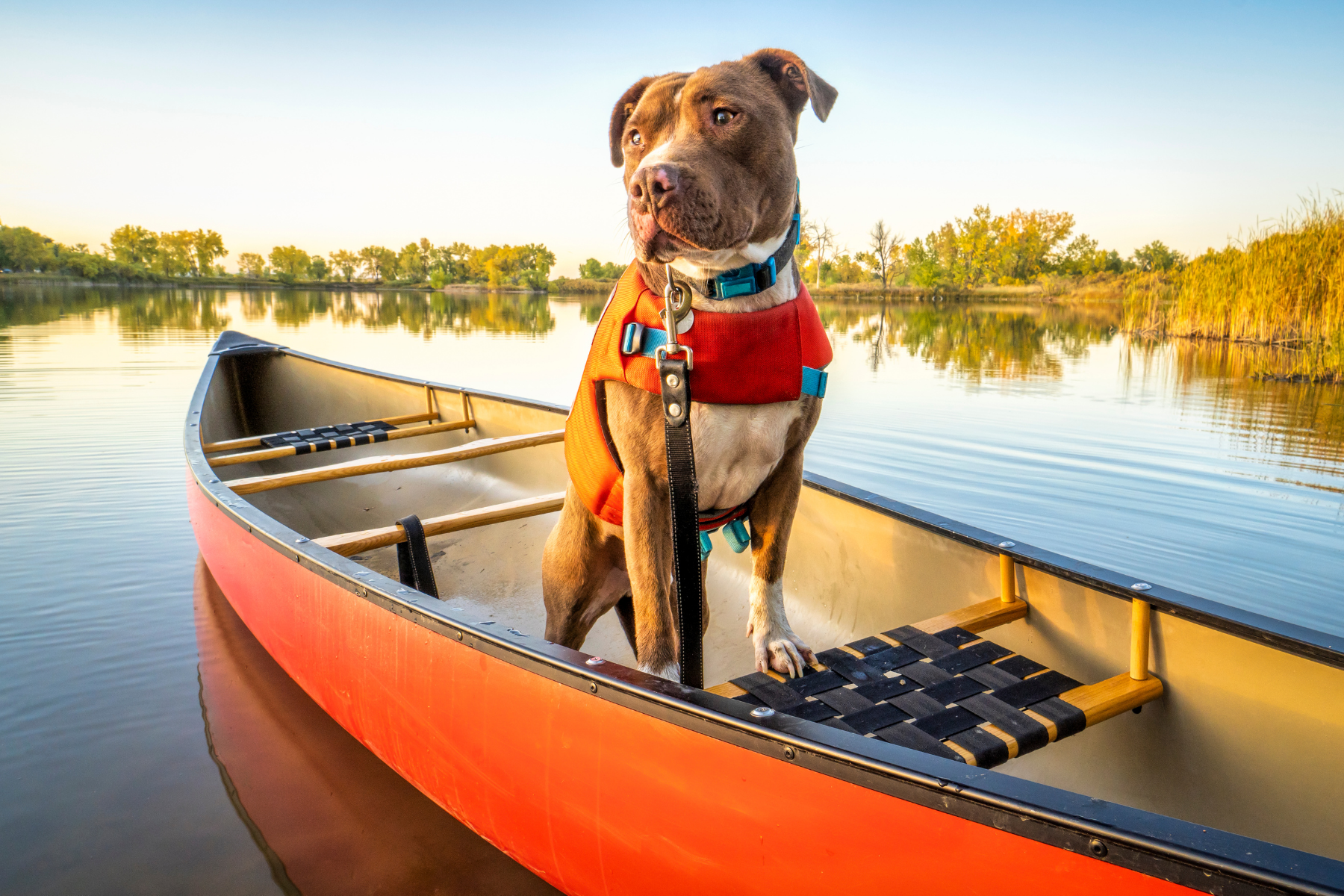 lander's river trips dog friendly campground