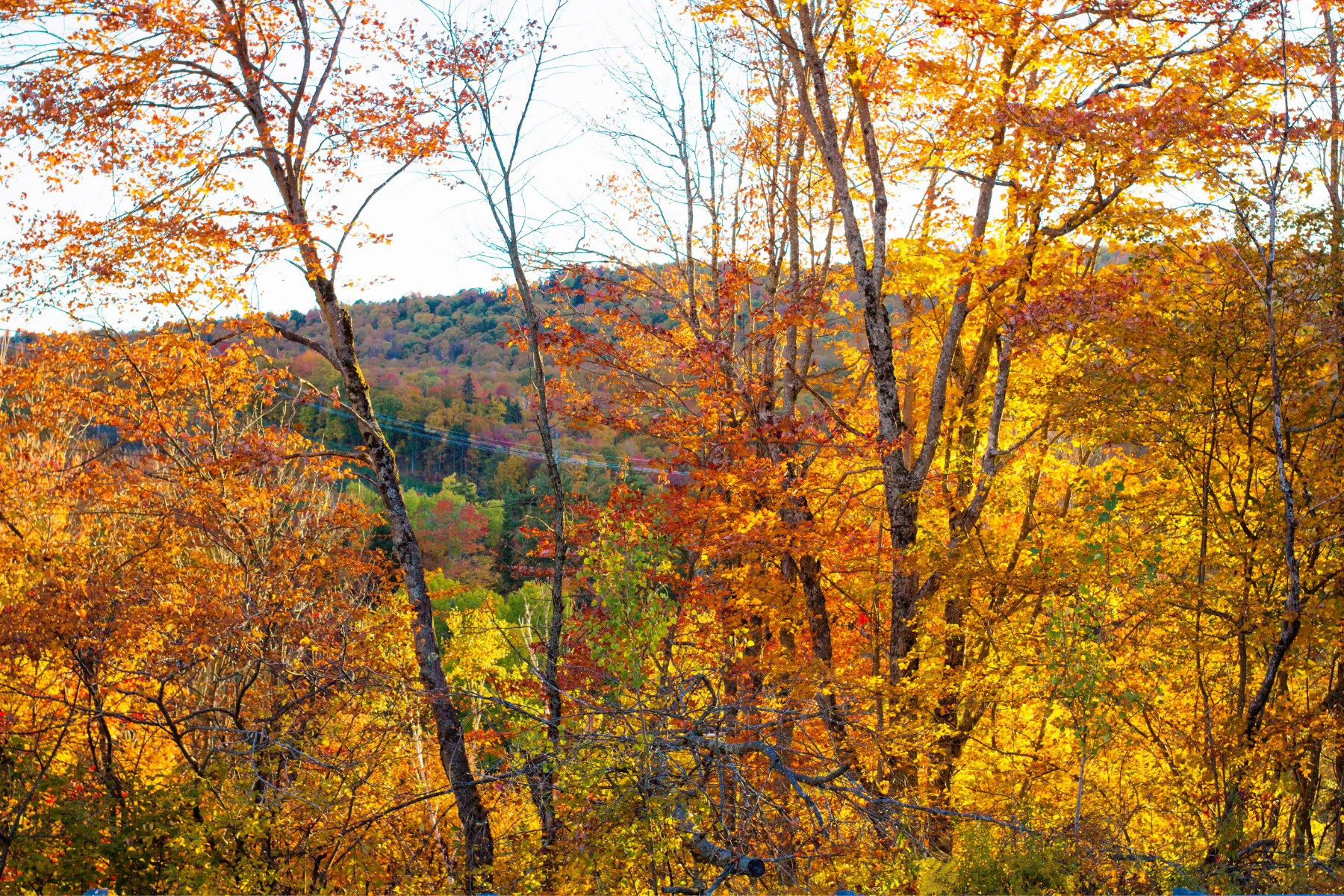 lander's river trips fall