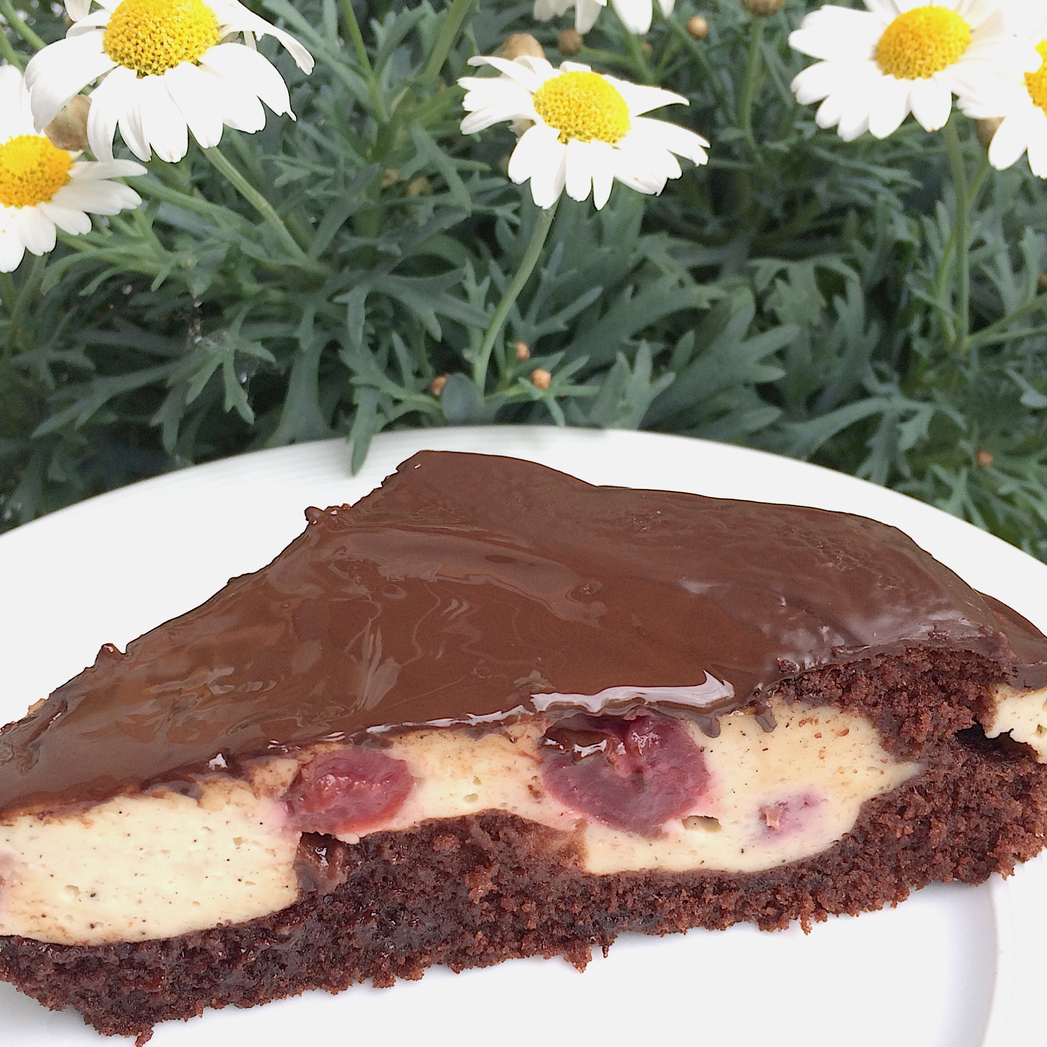 31+ Unique Puddingcreme Für Kuchen : Schoko-Kuchen mit Sauerkirschen & Quark-PuddingcrÃ¨me / Mit keksen | no bake schokokuchen | schoko keks kuchen | kinderleichte torte.