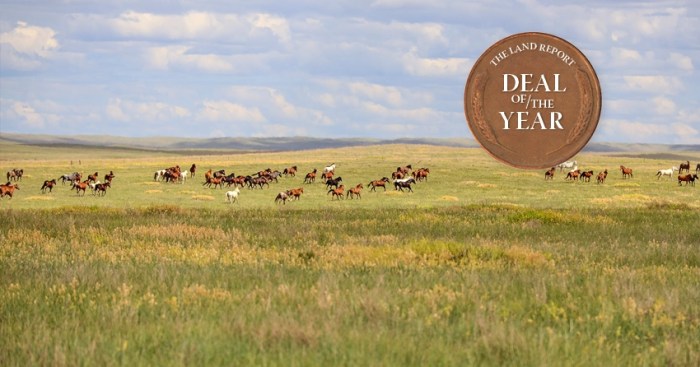 Is The King Ranch The Largest Ranch In The Us at Margaret Rakes blog King ranch owner net worth