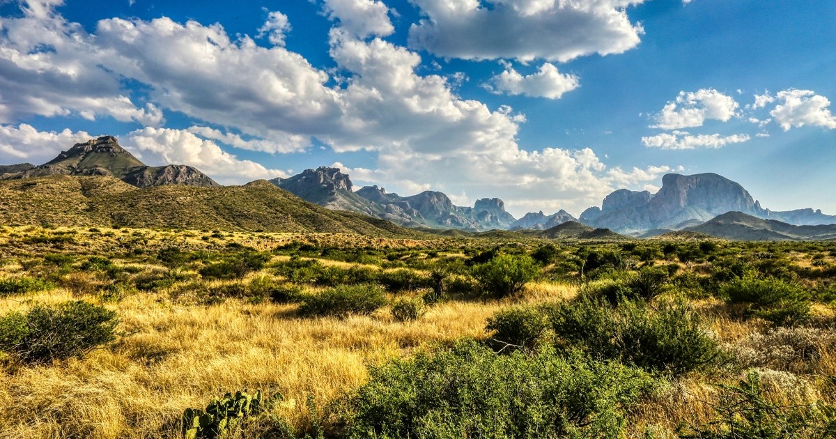 Top 10 texas landowners in 2024:who owns the most land in texas?
