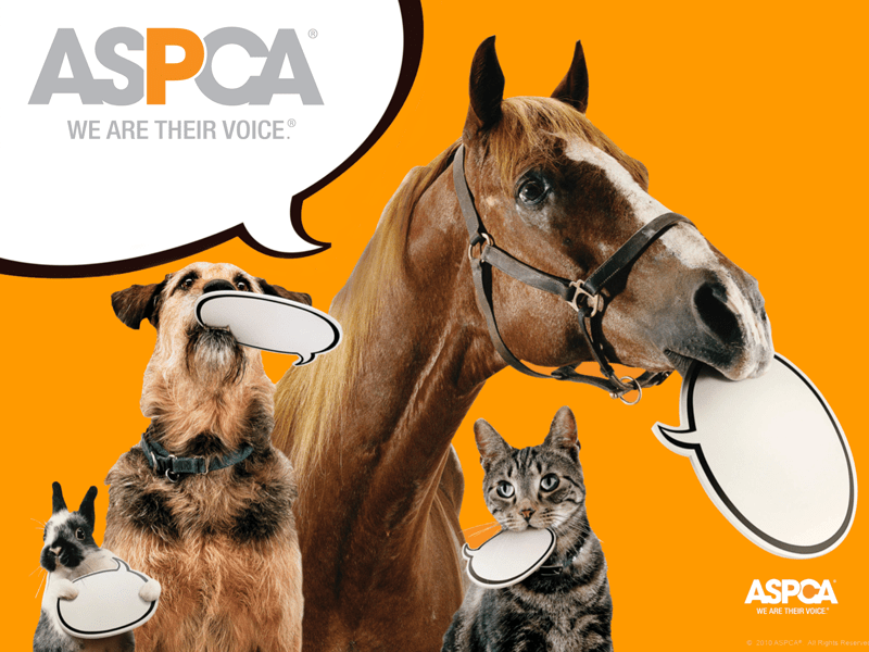 ASPCA PowerPoint