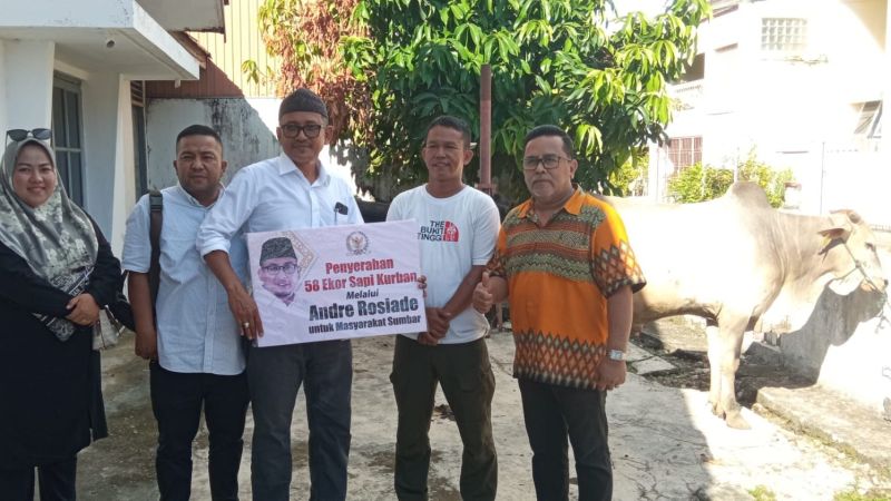 Andre Rosiade menyebarkan 58 ekor sapi kurban di masjid dan mushalla di seluruh Sumatra Barat jelang Idul Adha 1444 H atau tahun 2023 ini