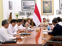 Pemerintah merilis paket ekonomi 2025 yang mencakup 8 program akselerasi, 4 program lanjutan, dan 5 program penyerapan tenaga kerja (8+4+5).