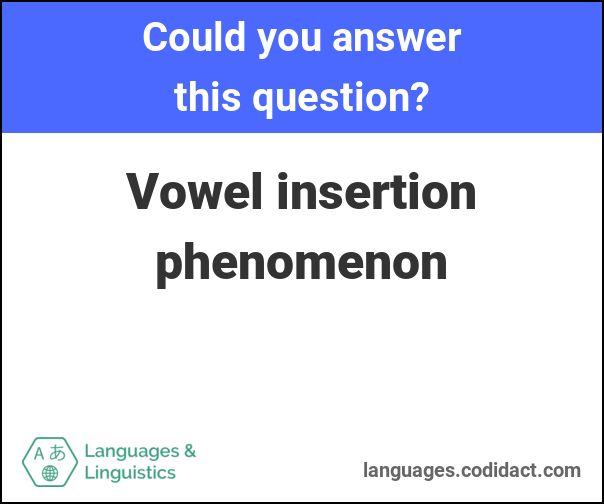 Codidact The Open Source Q A Platform - Minimal Images - Amazing Full HD Collection