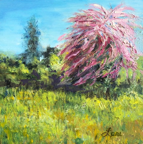 Pink Hawthorne