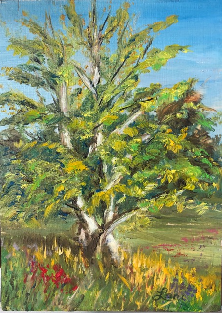 Field Alder