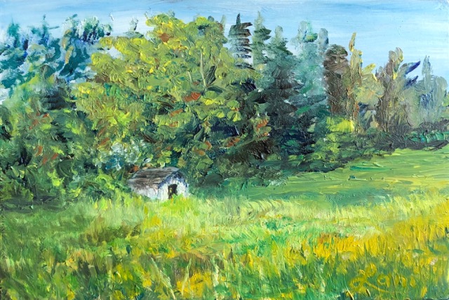 Chicken Coop