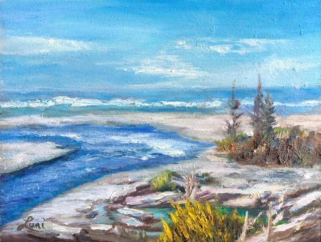 View From Kalaloch Lodge