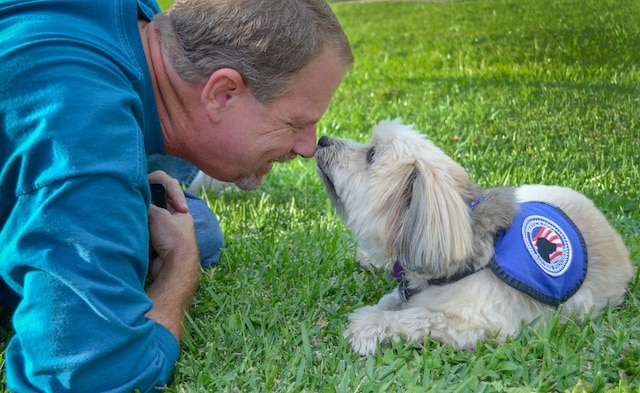 Perros pueden olfatear el COVID-19, revela un estudio