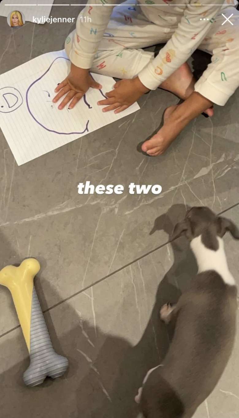 Crece la familia de Kylie Jenner