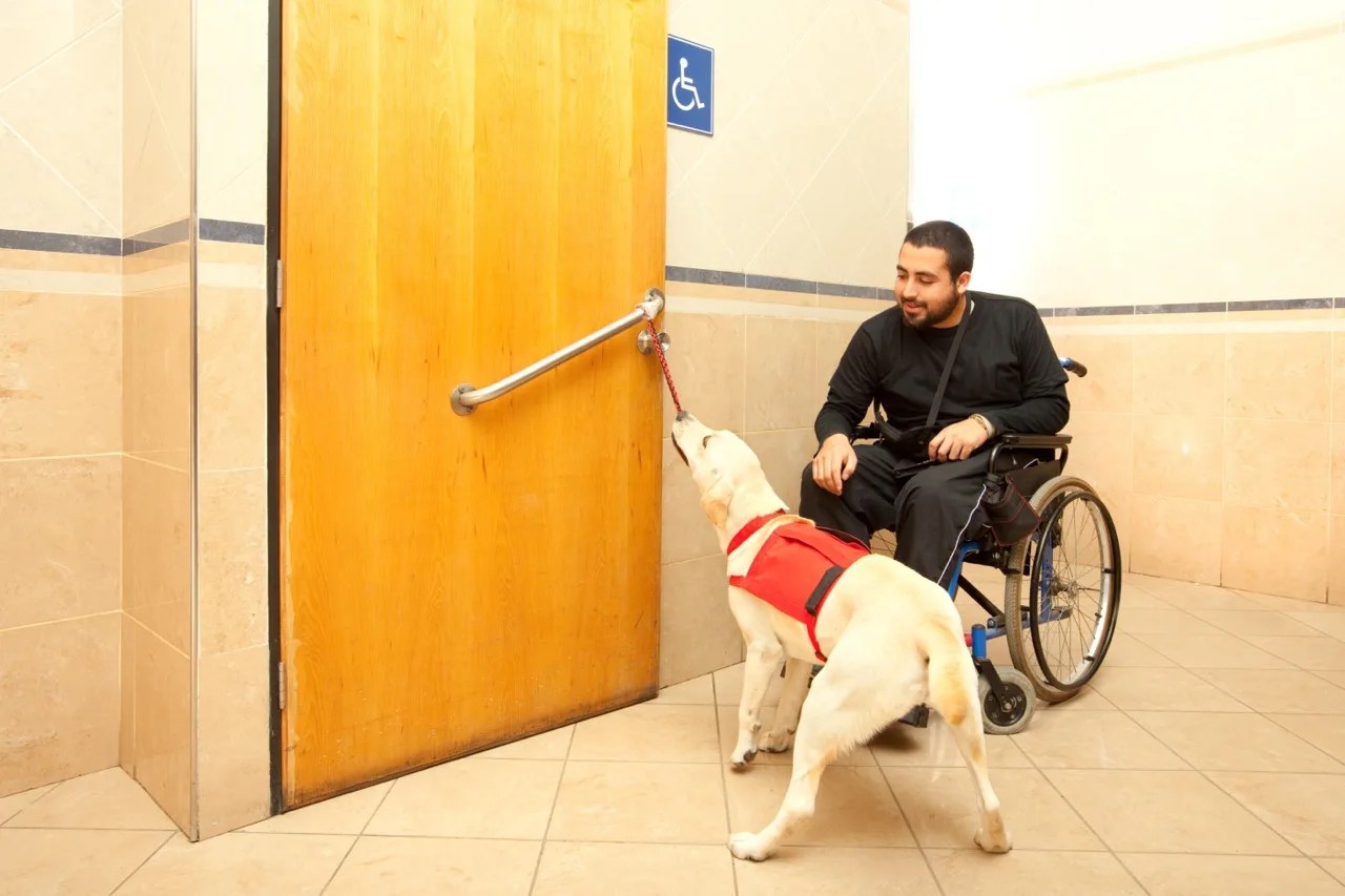 Tengo discapacidad, ¿puedo entrar a un establecimiento con mi perro de servicio en Carolina del Norte?