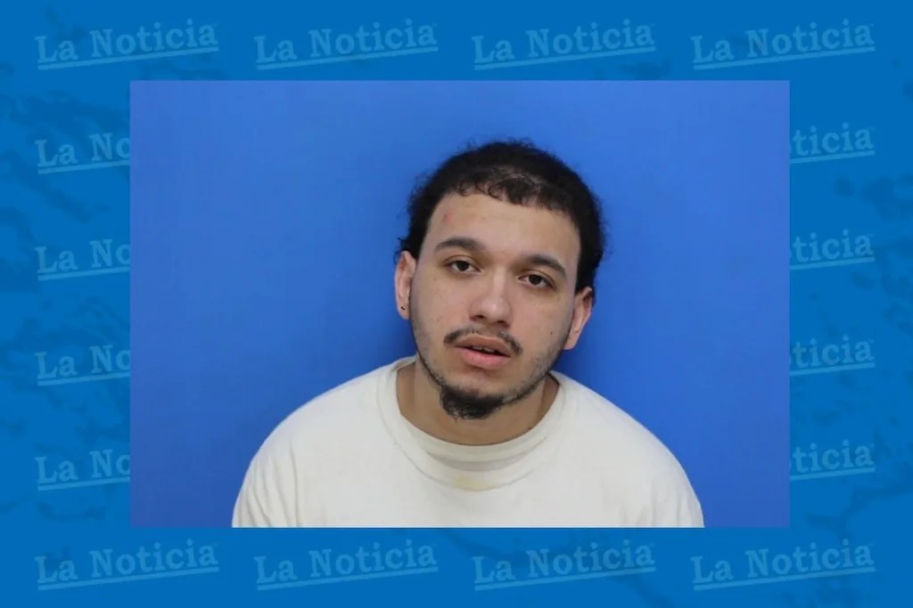 8 años de cárcel a inmigrante por tráfico de armas y drogas