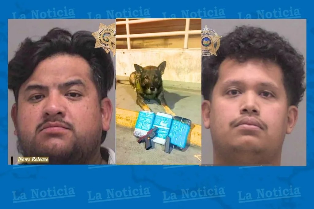 Parada de tránsito: arrestan a latinos con 14 kilos de cocaína
