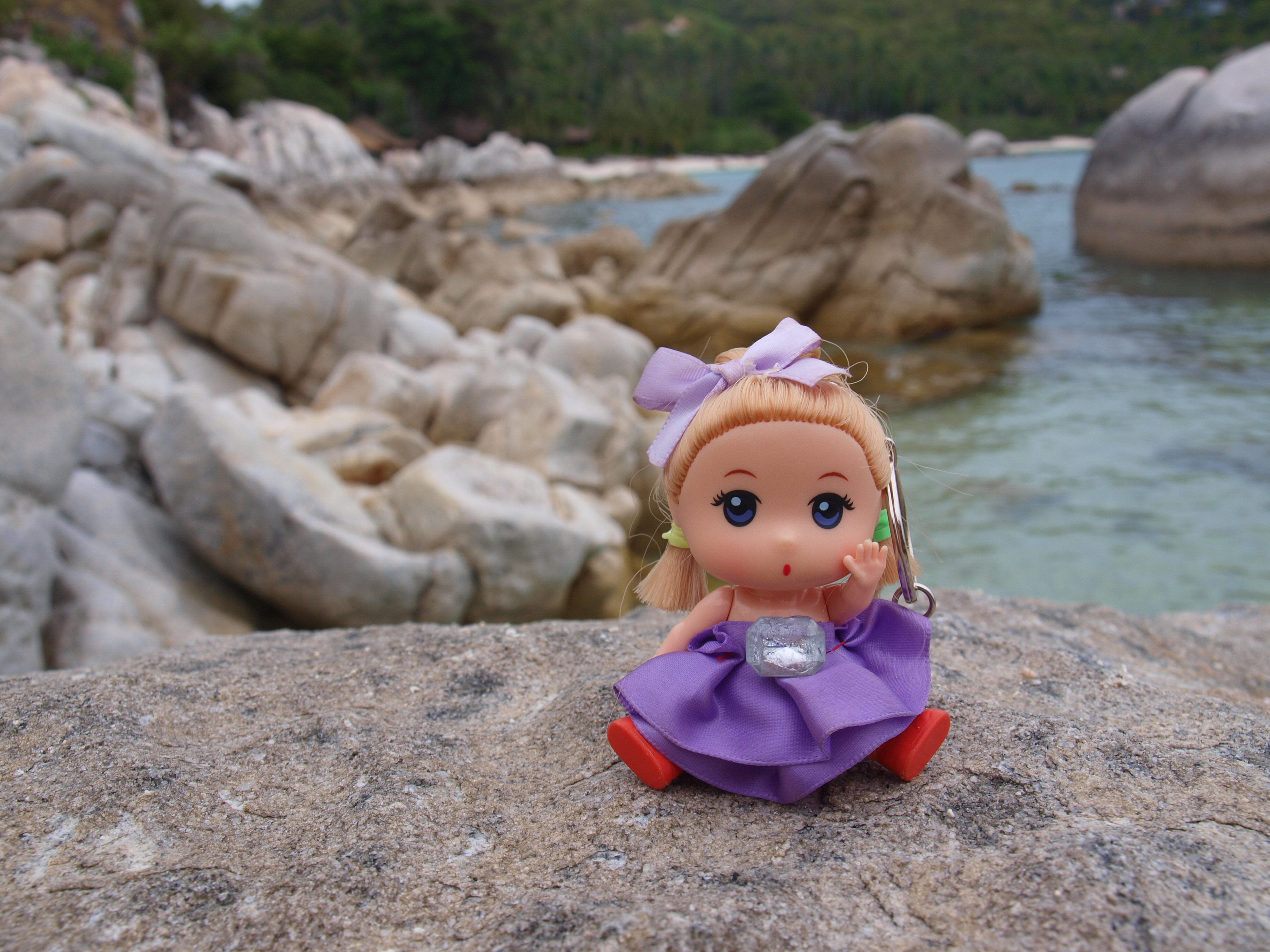 OLYMPUS DIGITAL CAMERA