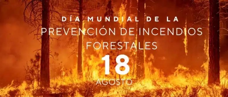 Feuer - Waldbrandverhütung
