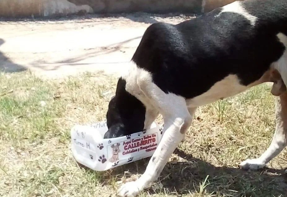 WhatsApp-Image-2023-04-11-at-09.57.46