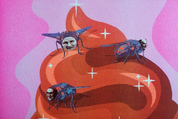 Detail of the risography "Same Shit" by LAPIZ and Lena Kaufmann, brown icecream, flies with faces