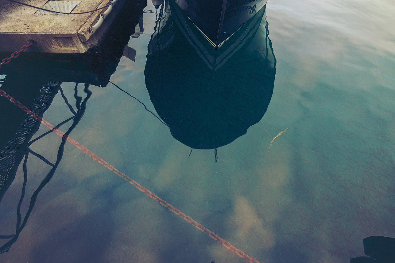 Little Fish