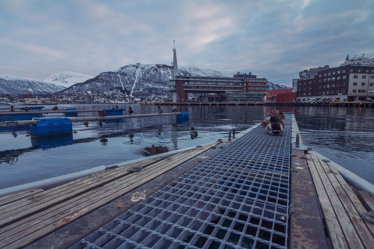 Tromsø