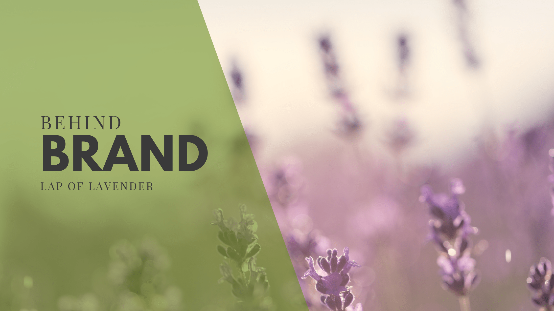 Text Reads "Behind the Brand: Lap of Lavender"