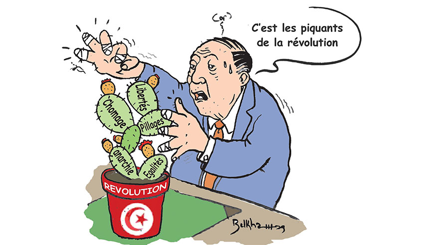 Piquants de la révolution