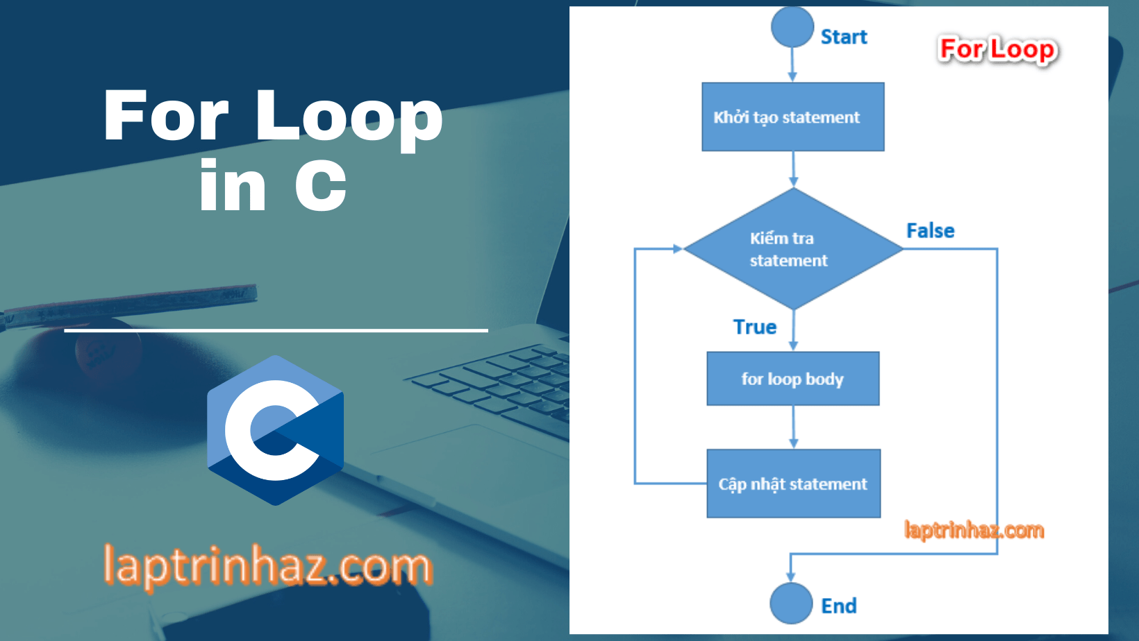 Bài 9 : For loop trong lập trình C cho người mới bắt đầu