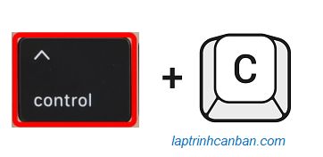 V Ng L P While True Trong Python - Ultra HD Space Textures for Desktop
