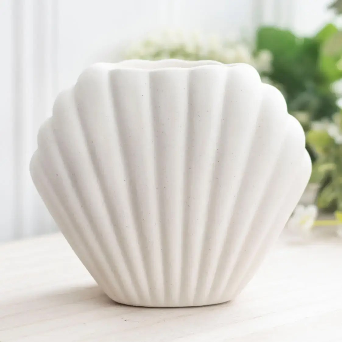 seashell oil burner