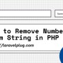 How To Remove Numbers From String In PHP - Laravel Plug