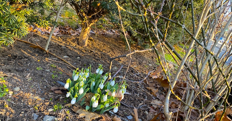 Spring Snapshot 2018 - Best City Textures in Desktop