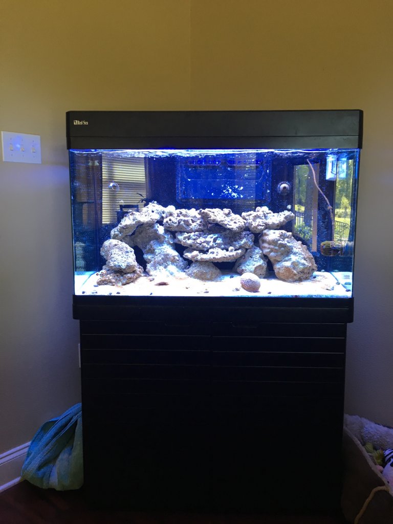 Red Sea Max 130d True Reef Spec Plte Plug Play Coral Reef Aquarium System For Sale In Kilnamanagh Dublin From Darcnorb 