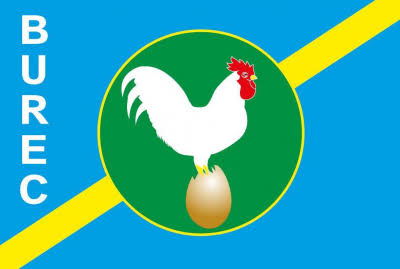 Nord-Kivu : Grogne des jeunes du Burec après l’exclusion temporaire de leur Coordonnateur interfédéral